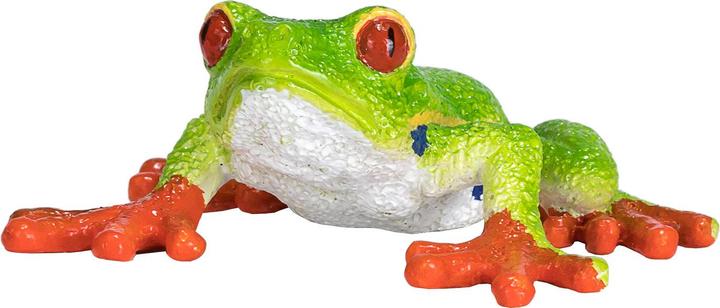 Actual product image small foot Red-eyed Tree Frog
