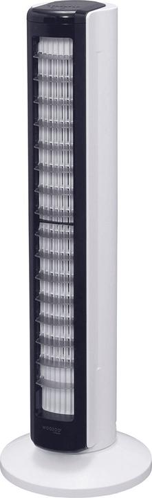 Image du produit Iris Ohyama Ventilateur Woozoo TWFC82T