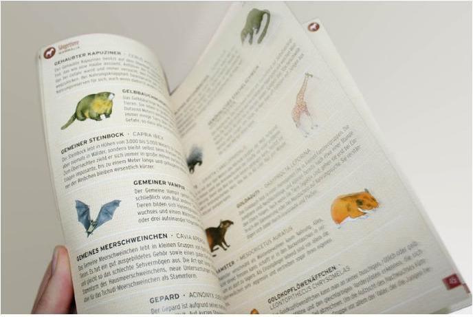 Produktbild Fauna (Deutsch)