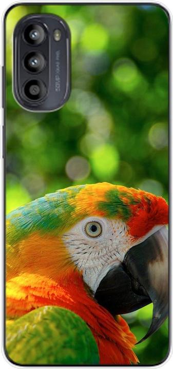 Parrot