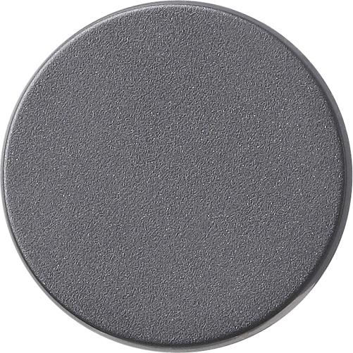 Actual product image Gira Dimmer knob System 55 anthracite 091028