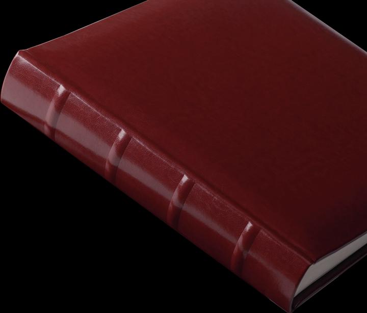 Actual product image Walther Design Classic 30x37 80 pages book FA373R (31 x 37 cm)