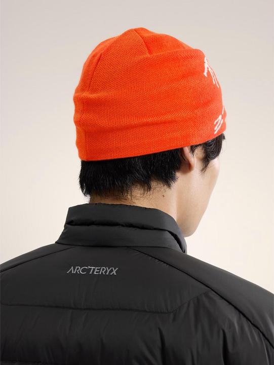 Actual product image Arc'teryx Bird Head