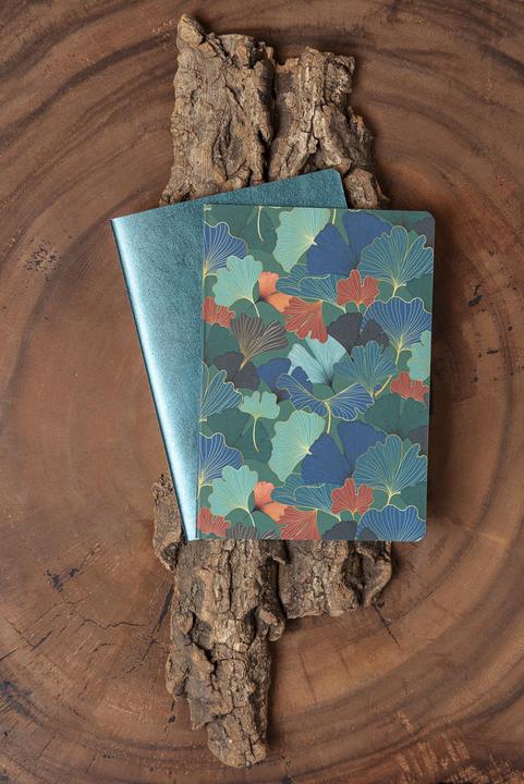 Immagine prodotto Clairefontaine Ginkgo Set 2 Notizhefte (AAA393)