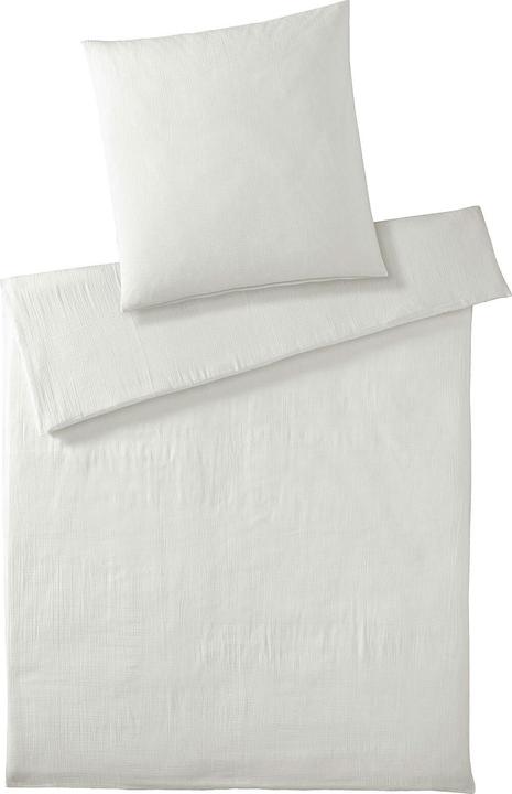 Off-bianco