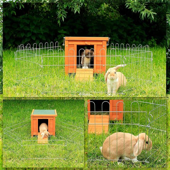 Actual product image Ionto Rabbit hutch