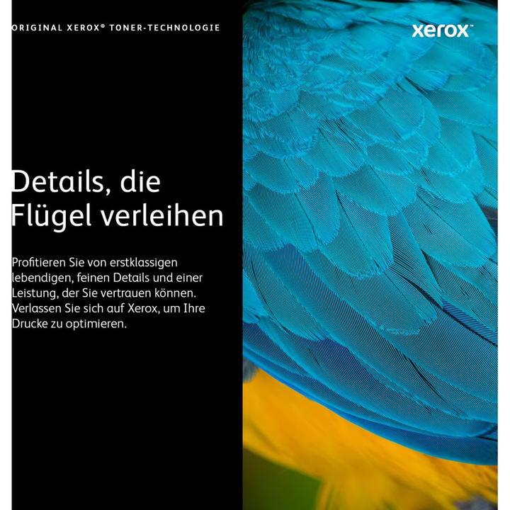 Actual product image Xerox 106r03738 (Y)