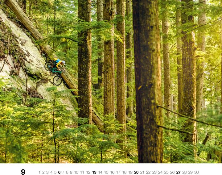 Produktbild Freeride 2026 (Deutsch)
