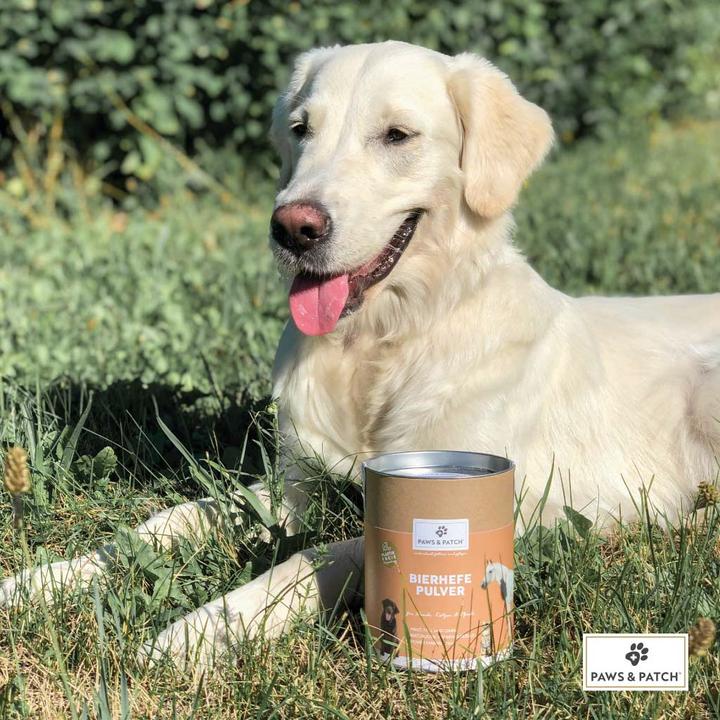 Image du produit Paws & Patch Paws and Patch levure de bière en poudre chiens/chats/chevaux (250g) (Adulte, 1 pcs, 250 g)