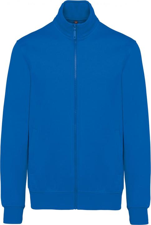light royal blue