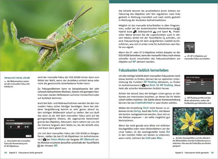 Produktbild Canon EOS M100 - Für bessere Fotos von Anfang an! (Deutsch, Kyra Sänger, Christian Sänger, 2018)