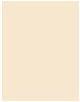 Actual product image Maybelline New York Superstay Active Wear 30H (5 Ivory)
