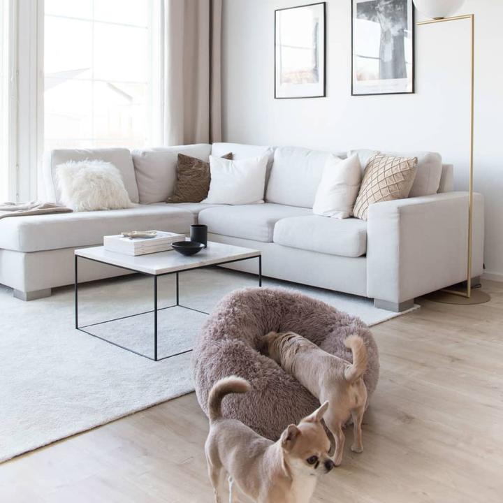Image du produit District 70 Haustier-Bett (Chat, Chien)