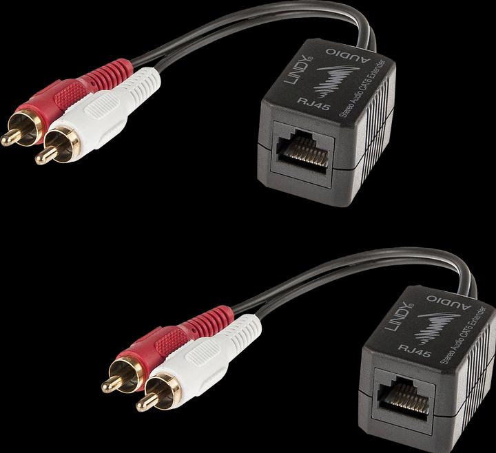 Actual product image Lindy Cat.5/6 100m 2x RCA (Extender)