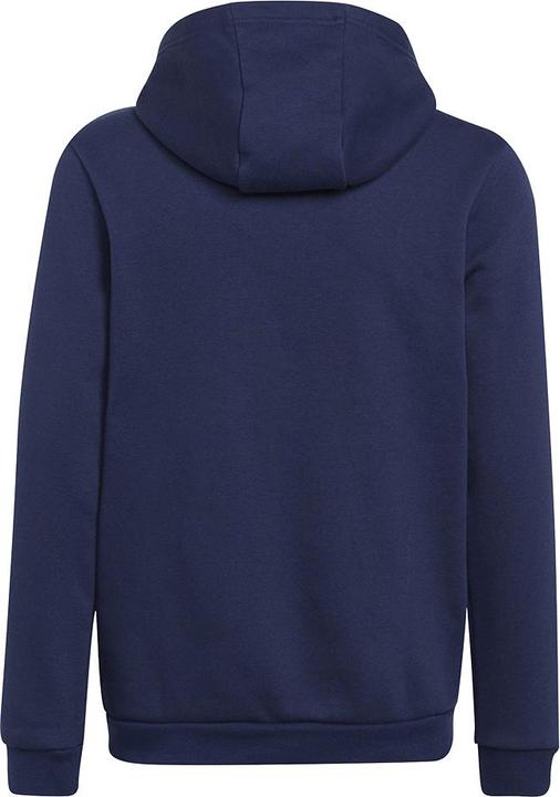 Produktbild adidas Entrada 22 Kapuzenpullover Kinder (164)