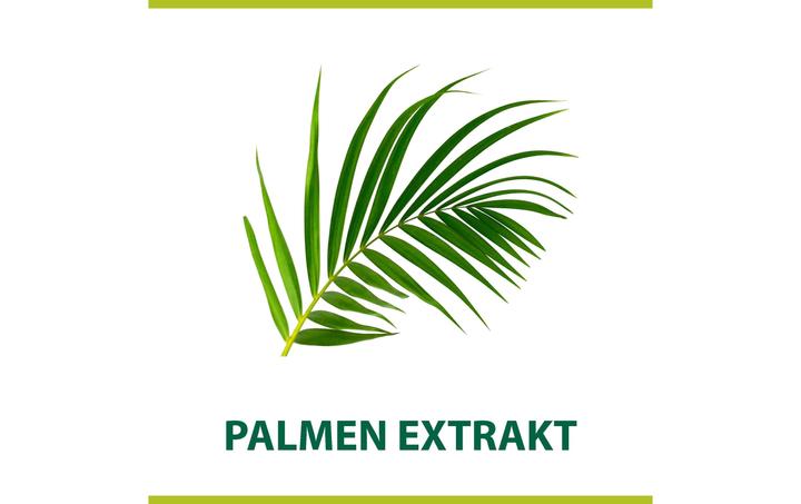 Produktbild Palmolive Men Classic (300 ml, Rasierschaum)