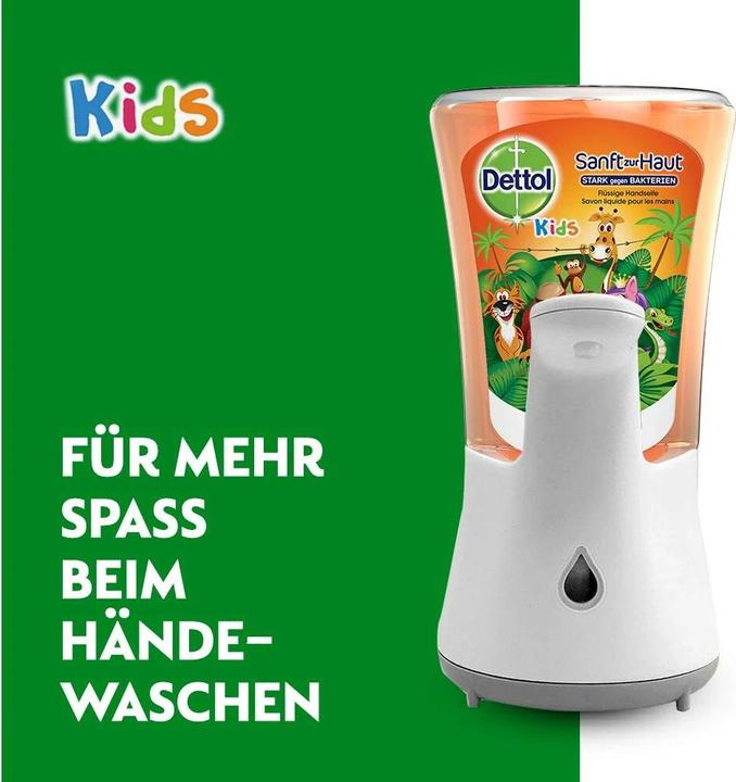 Actual product image Dettol Jester (refill, 250 ml)