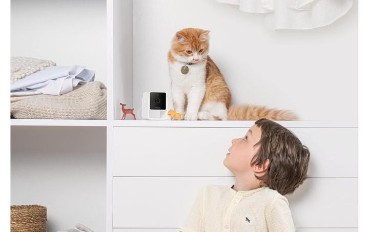 Produktbild Petcube Haustierkamera (Katzenminzespielzeug)