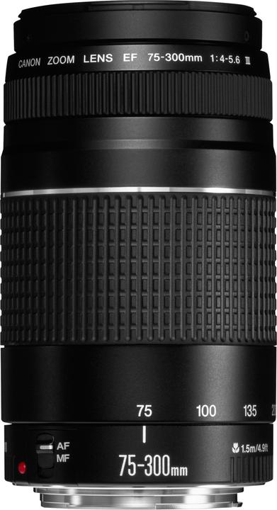 Canon EF 75-300mm f/4.0-5.6 III (Canon EF, APS-C / DX)