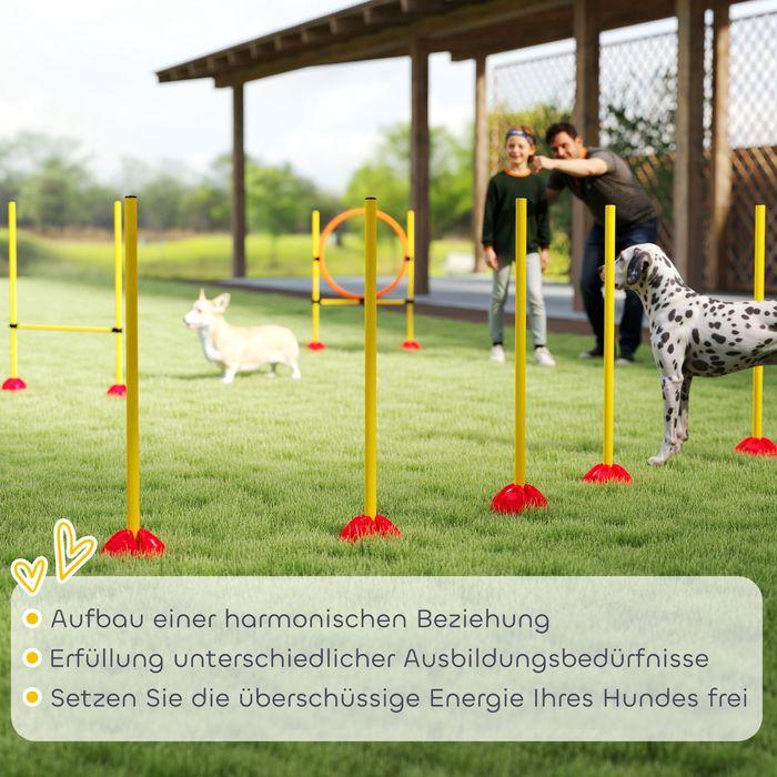 Immagine prodotto Swisshandel24 Agility Set Hunde 3-teiliges befüllbar Agility-Ausrüstung für Hundetraining (Destrezza)