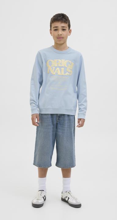 Produktbild Jack & Jones Gedruckt Sweatshirt Junior Sweatshirt (176)