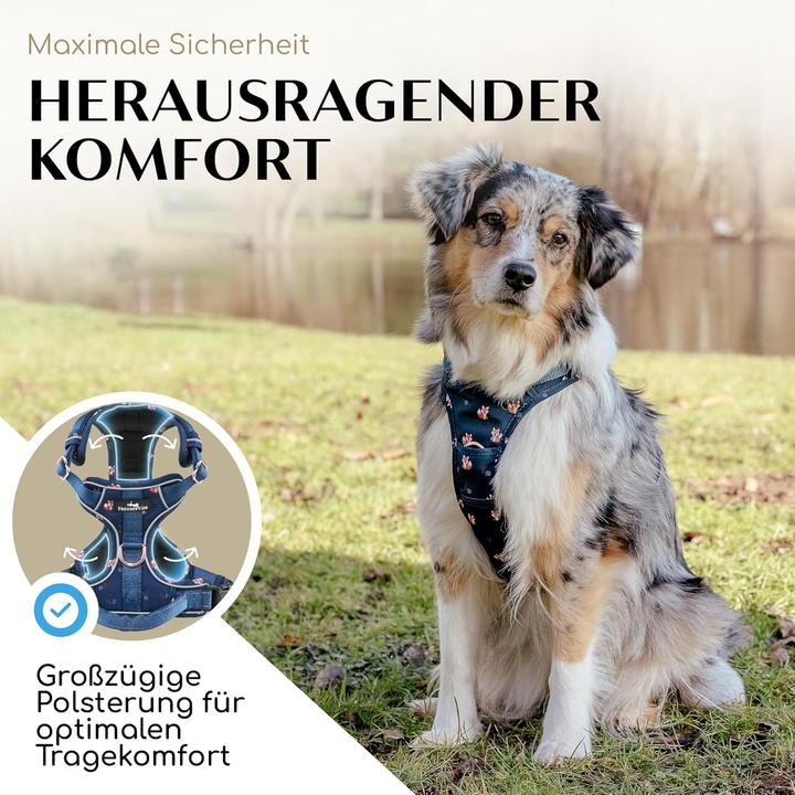 Image du produit Freudentier Atmungsaktives Hundegeschirr mit Griff & Polsterung (M, Chien)