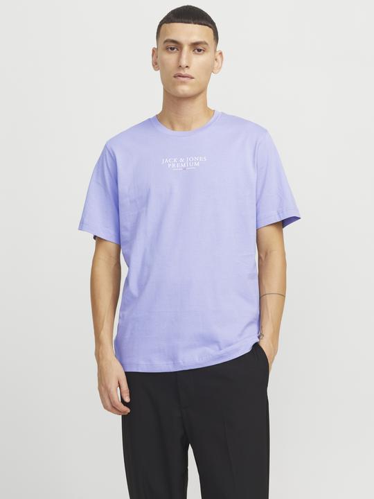 Actual product image Jack & Jones Jprbluarchie Ss Tee Crew Neck Noos (S)