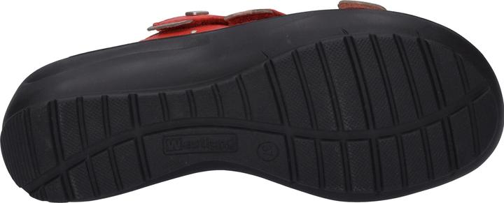 Image du produit Westland 25904-644 (42)