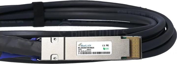 Actual product image BlueLAN Dell DAC-Q28DD-200G-0.5M compatible DAC 200GBASE-CR4 QSFP-DD BL292901W0.5M26