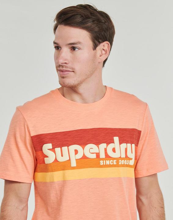 Actual product image Superdry Terrain Logo Stripe Relxed Tee (S)