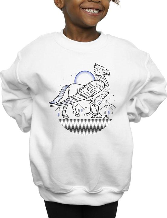 Image du produit - Sweat BUCKBEAK LINE ART - Fille (152, 158)