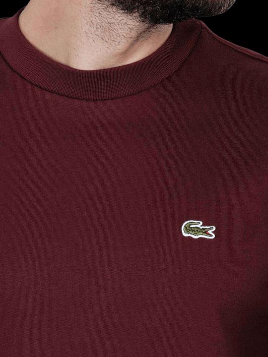 Image du produit Lacoste 10019946 (4XL)