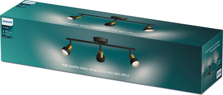 Image du produit Philips Conduit (GU10)