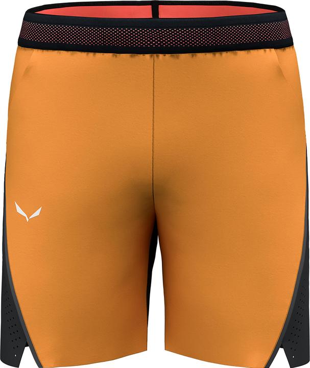 Actual product image Salewa PEDROC 2 DST Herren SHORTS (L)