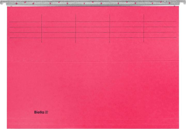 Actual product image Biella Suspension file (A4, 1 x)
