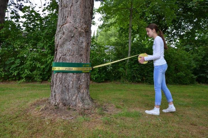 Produktbild Gibbon Treewear (1 m)