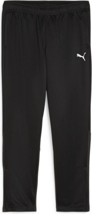 Puma teamGOAL Training Pant Wmn