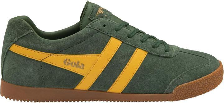 Sole, Sempreverde