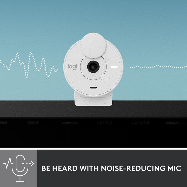 Actual product image Logitech Brio 300 (2 Mpx)