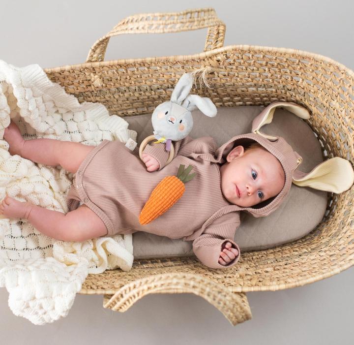 Actual product image Taf Toys Hare Rylee