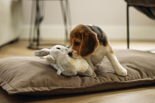 Produktbild Beeztees Puppy Cuddle Toys und Herzschlag Simulator (Welpenspielzeug)