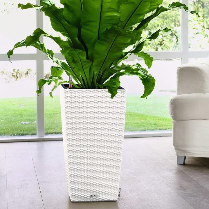 Image du produit Lechuza Cottage Cubico (29.50 cm)