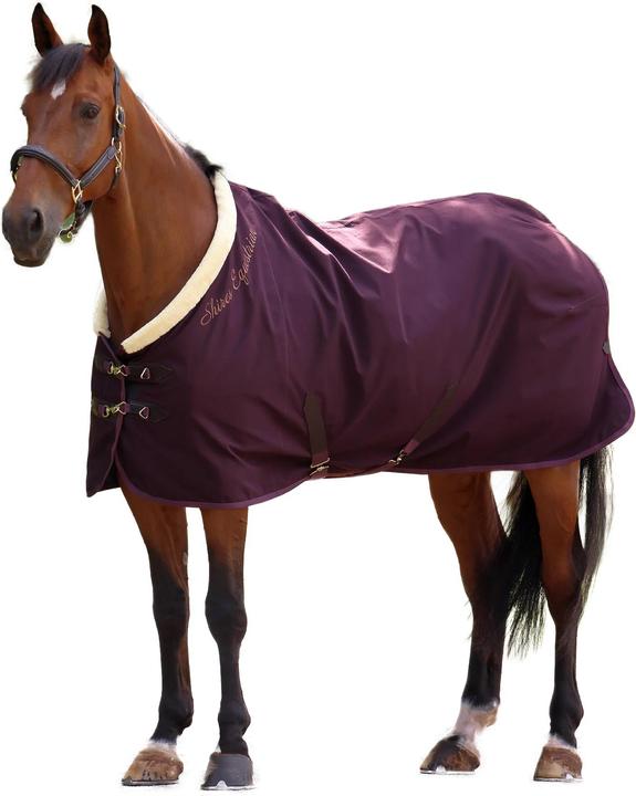 Schwarzkirsche