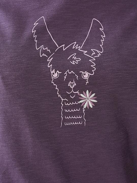 Actual product image Chillaz Klettershirt Happy Alpaca (42, XL)