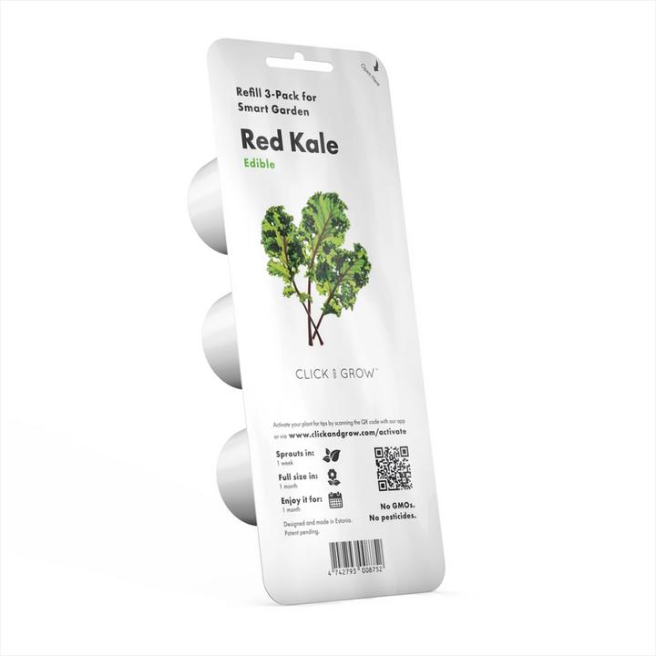 Produktbild Click and Grow Roter Kohl (Gemüsesamen)