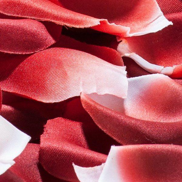 Actual product image Bijoux Indiscrets Rose Petal Explosion (Other)