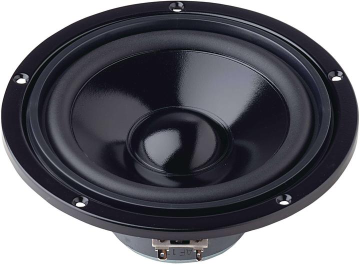 Actual product image Visaton W 170 S woofer