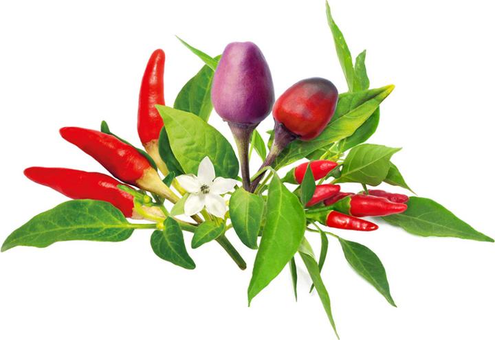 Produktbild Click and Grow Click & Grow Plant Pod Chilli Pepper Mix (Pflanzensamen)