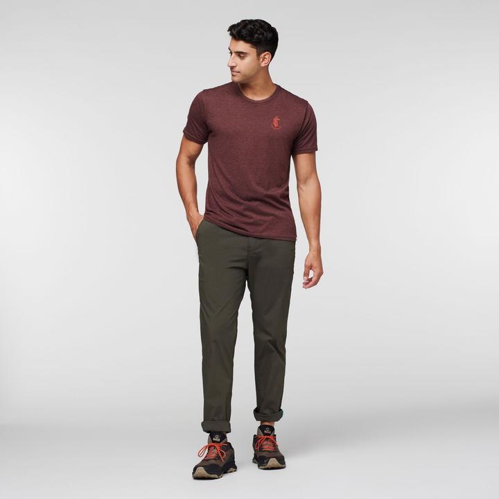 Produktbild Cotopaxi Salto Ripstop Pant (XL)