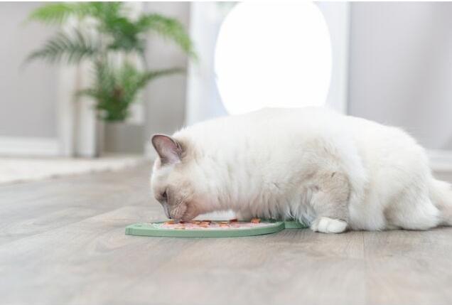 Actual product image Trixie Lick'n'Snack Plate